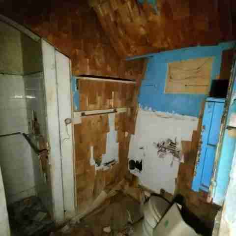 8031 conger (11).jpg